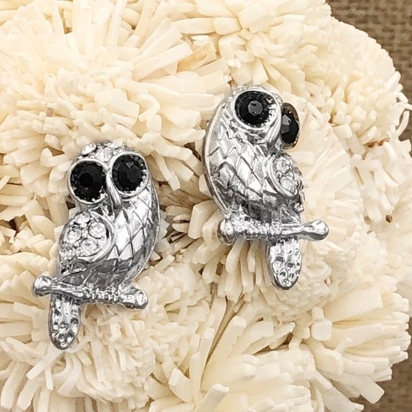 🌼 Black Eye Owl Post Stud Earrings - Picture 1 of 2